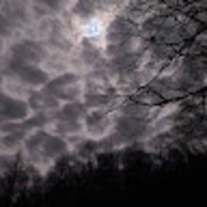 Meet your Posher, Logan